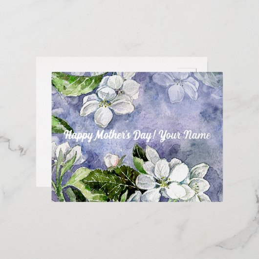 Apfelblüte Folien Feiertagspostkarte (Vorderseite/Rückseite)