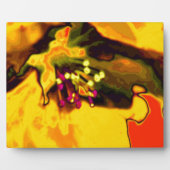 Apfelblüte Fotoplatte (Vorderseite)