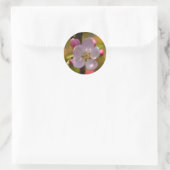 Apfelblüte im Frühling Runder Aufkleber (Tasche)