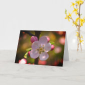 Apfelblüte Karte (Gelbe Blume)