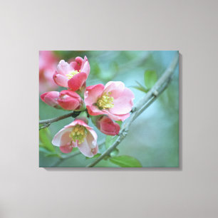 Apfelblüte #P0356 Wrapped Canvas Leinwanddruck