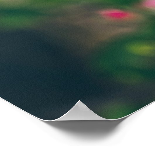 Apfelblüte Poster (Ecke)