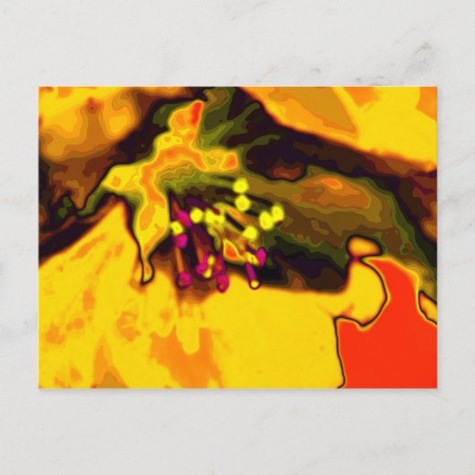 Apfelblüte Postkarte (Vorderseite)