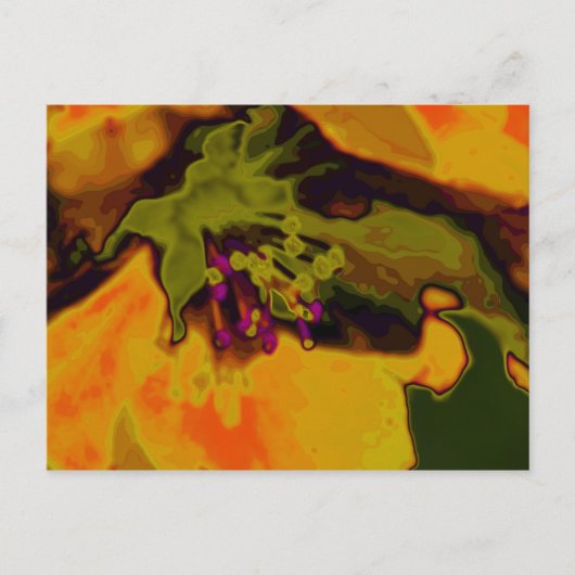 Apfelblüte Postkarte (Vorderseite)