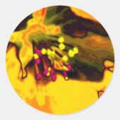 Apfelblüte Runder Aufkleber (Vorderseite)