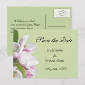 Apfelblüte Save the Date Postkarte (Vorne/Hinten)
