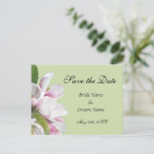 Apfelblüte Save the Date Postkarte (Stehend Vorderseite)