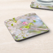 Apfelblüte - Schönheit Getränkeuntersetzer (Linke Seite)