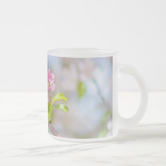 Apfelblüte - Schönheit Mattglastasse (Rechts)
