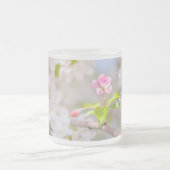 Apfelblüte - Schönheit Mattglastasse (Mittel)