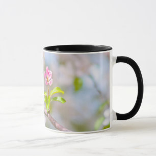 Apfelblüte - Schönheit Tasse
