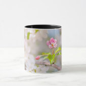 Apfelblüte - Schönheit Tasse (Zentrum)