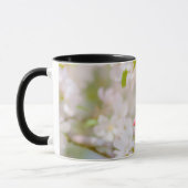 Apfelblüte - Schönheit Tasse (Links)