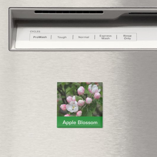 Apfelblüte und grüne Blätter Magnet (In Situ (Geschirrspüler))