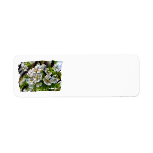 Apfelblüten (Vorne)