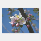 Apfelblüten - Ein blühender Apfelbaum Geschenkpapier Set (Vorderseite 2)