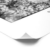 Apfelblüten Fotodruck (Ecke)