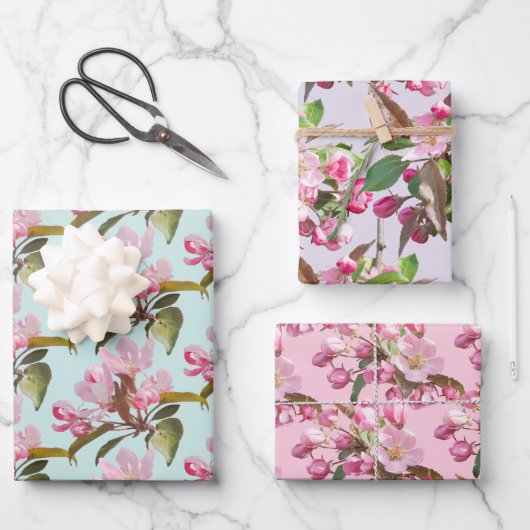 Apfelblüten Geschenkpapier Set (Vorderseite)