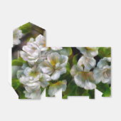 Apfelblüten Geschenkschachtel (Ungefaltet)