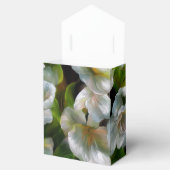 Apfelblüten Geschenkschachtel (Geöffnet)