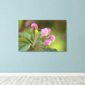 Apfelblüten Leinwanddruck (Insitu (Holzboden))