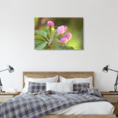Apfelblüten Leinwanddruck (Insitu (Schlafzimmer))