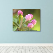 Apfelblüten Leinwanddruck (Insitu (Holzboden))
