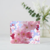 Apfelblüten Postkarte (Stehend Vorderseite)