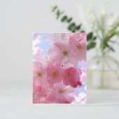 Apfelblüten Postkarte (Stehend Vorderseite)