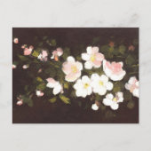 Apfelblüten Postkarte (Vorderseite)