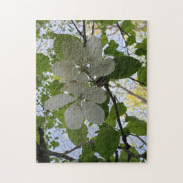 Apfelblüten Puzzle