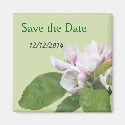 Apfelblüten Save-the-Date Magnet (Vorne)