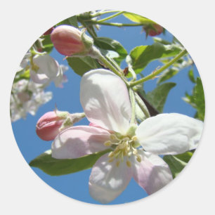 APFELBLÜTEN-STICKER STICKERBOGEN Geschenke Runder Aufkleber