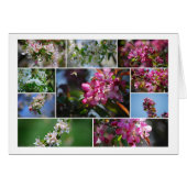 Apfelblüten und Honigbienen (Vorderseite (Horizontal))