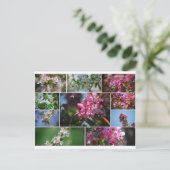 Apfelblüten und Honigbienen Postkarte (Stehend Vorderseite)