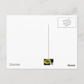 Apfelblüten und Hummeln Postkarte (Rückseite)