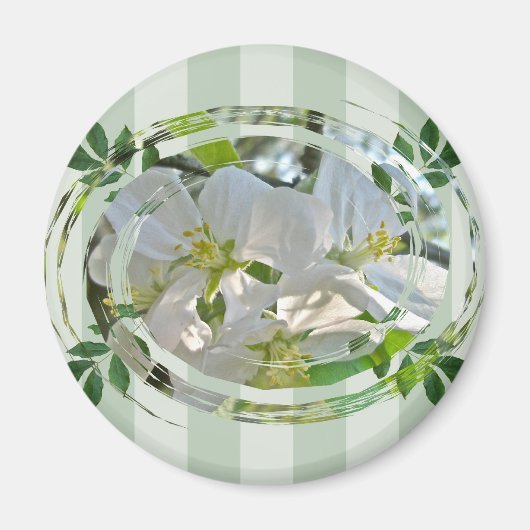 Apfelblüten und Magnet für grüne Streifen (Vorne)