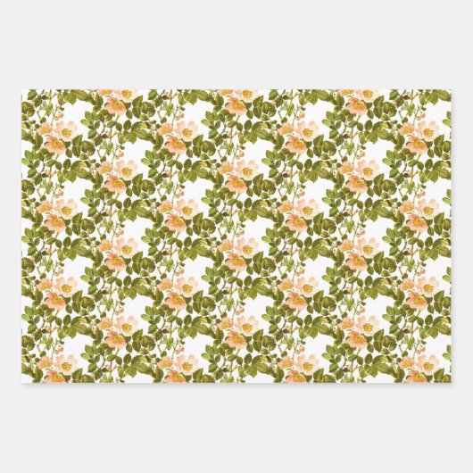 Apfelblüten und Rosehips Geschenkpapier Set (Vorderseite 3)