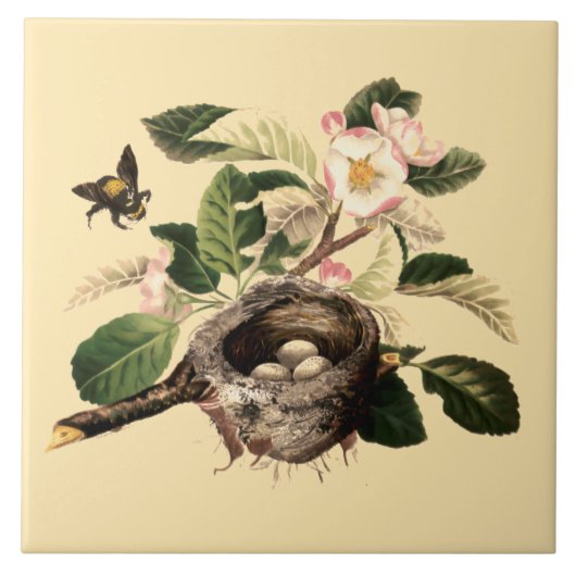 Apfelblüten und Vogelnest Fliese (Vorderseite)