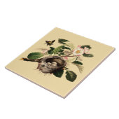 Apfelblüten und Vogelnest Fliese (Seite)