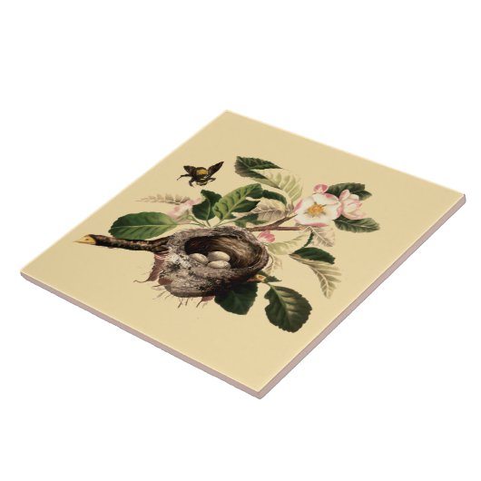 Apfelblüten und Vogelnest Fliese (Seite)