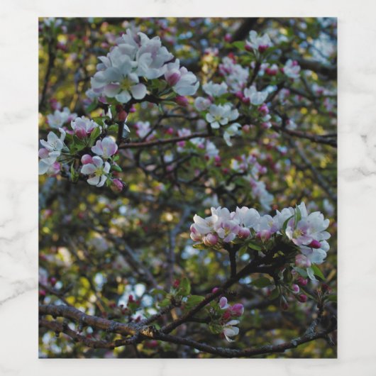 Apfelblüten Weinetikett (Einzelnes Label)