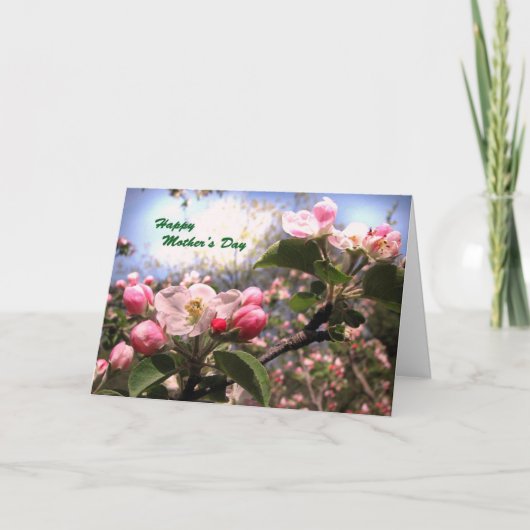 Apfelblüten zum Muttertag Karte (Vorderseite)
