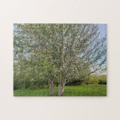 Apfelblütenbaum Puzzle (Horizontal)