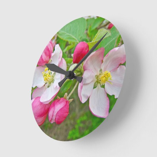 Apfelblütenzeit Runde Wanduhr (Winkel)