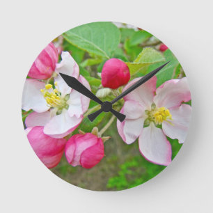 Apfelblütenzeit Runde Wanduhr