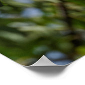 Äpfelchen auf Zweig Poster (Ecke)