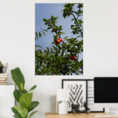 Äpfelchen auf Zweig Poster (Heimbüro)