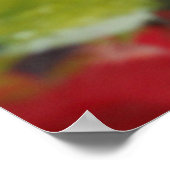 Äpfeldruck Poster (Ecke)