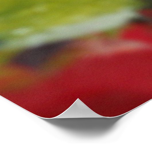 Äpfeldruck Poster (Ecke)